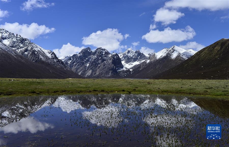 （新華全媒頭條·聚焦生物多樣性大會·圖文互動）（7）攜手同行，開啟人類高質(zhì)量發(fā)展新征程——習近平主席在《生物多樣性公約》第十五次締約方大會領(lǐng)導人峰會上的主旨講話解讀