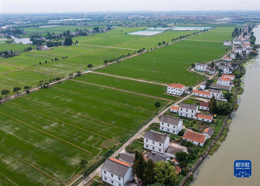 (新華全媒頭條·圖文互動(dòng))(5)從百年黨史汲取不懈奮斗的力量——與會(huì)同志談黨的十九屆六中全會(huì)精神